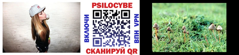 Купить где  Воркута  Галлюциногенные грибы Magic Shrooms 