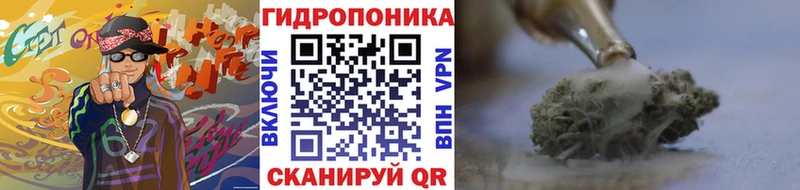 Купить где  Воркута  Бошки марихуана ГИДРОПОН 